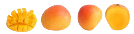 Picture6 removebg preview Go Mango Main